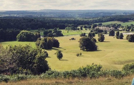 Author sat on top of hill looking out over lush green space